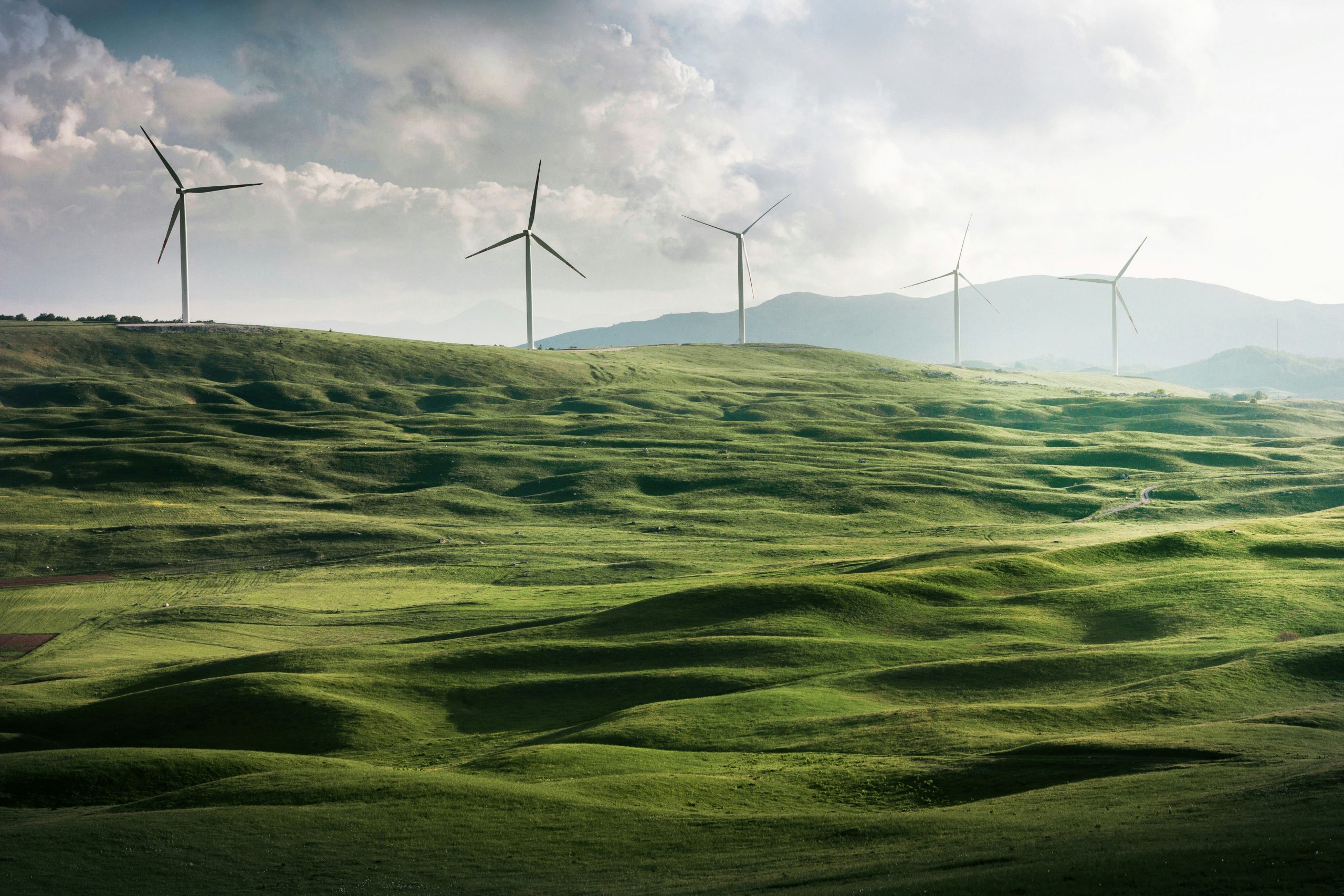 The Great Reset: How COVID-19 is Driving the Acceleration towards digital transformation & Adoption of Clean Energy